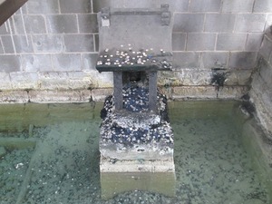 kusatsu_machi04.jpg