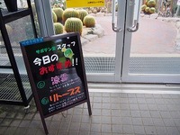 P9043763.jpg